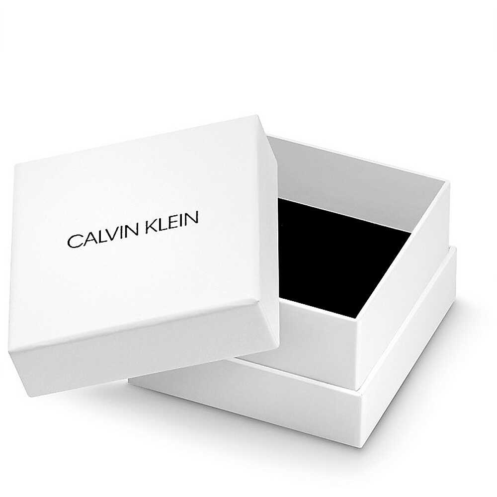 Verpackung Ohrringen Calvin Klein KJ8GPE100100