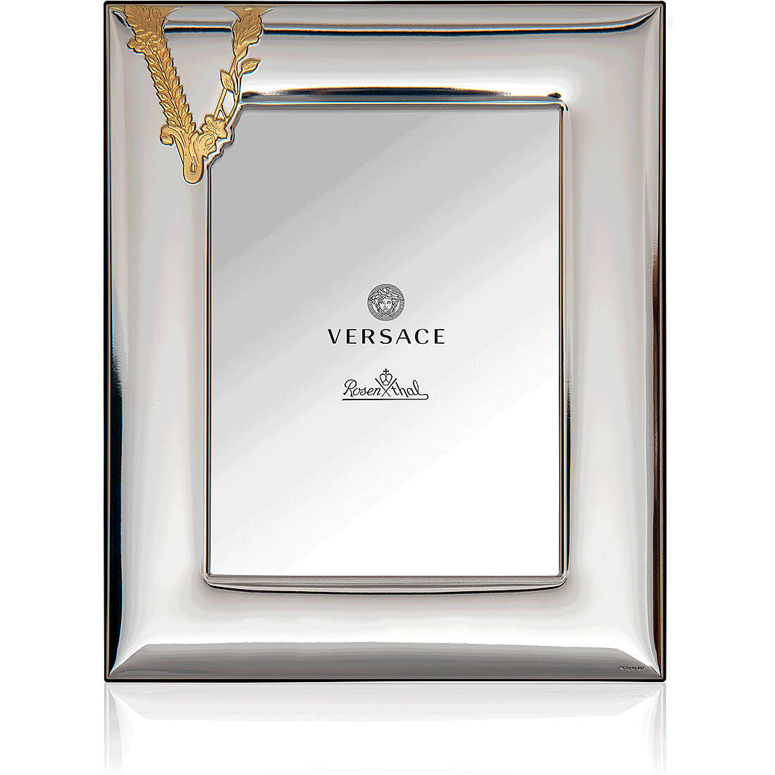 rahmen in Silber Versace Versace Frames VS0114/15A