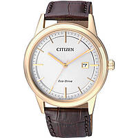 Uhr nur Zeit mann Citizen Eco-Drive AW1233-01A